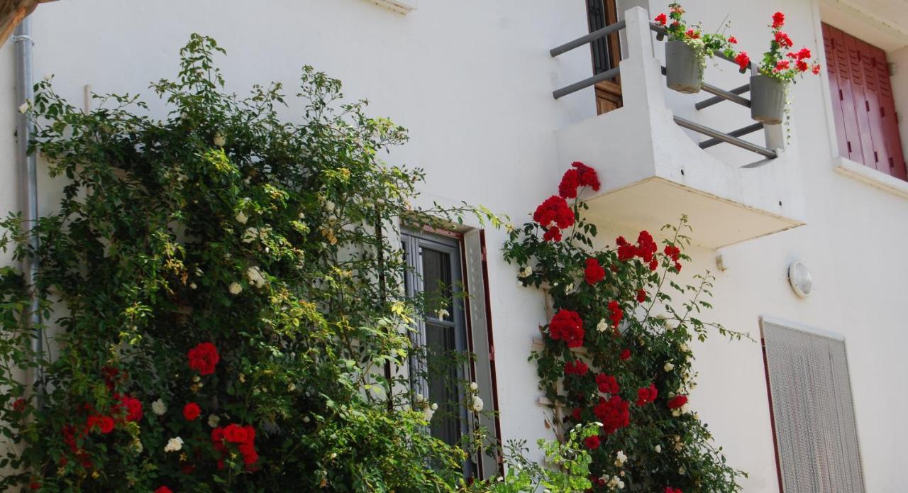 Auberge St P Vegetarien Bnb Saint-Pastous Exterior photo